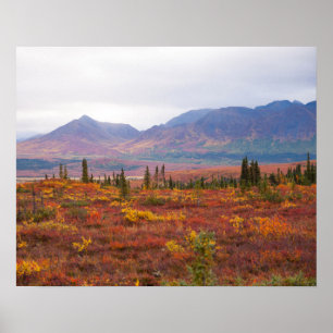 Poster Outono cénico no parque nacional de Denali, Alask