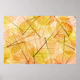 Poster Outono deixa o fundo amarelo e laranja - trans