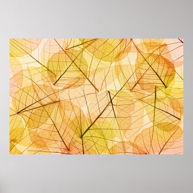 Poster Outono deixa o fundo amarelo e laranja - trans (Frente)