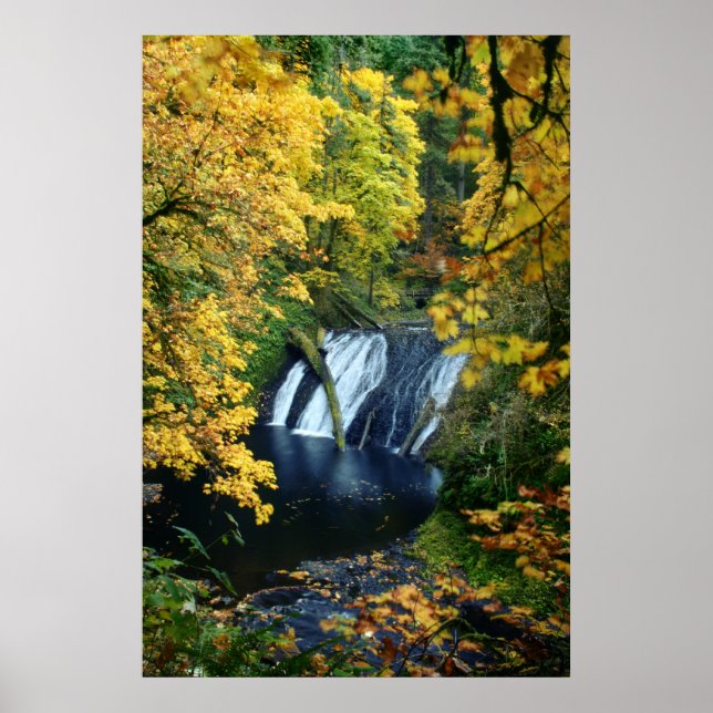 Poster outono do outono (Frente)