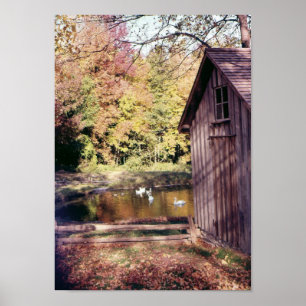Póster Outono em Bronte Creek