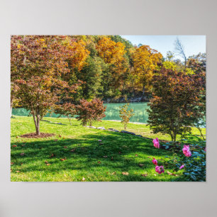 Poster Outono Em Dogwood