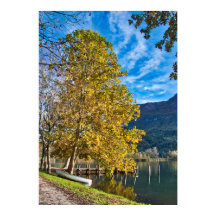Outono em Itália com árvore e barco perto do lago