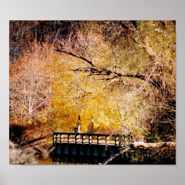 Póster Outono em Long Island (Frente)