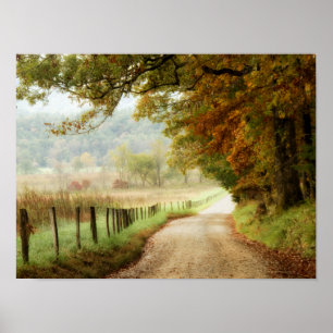 Póster Outono em uma Estrada do País