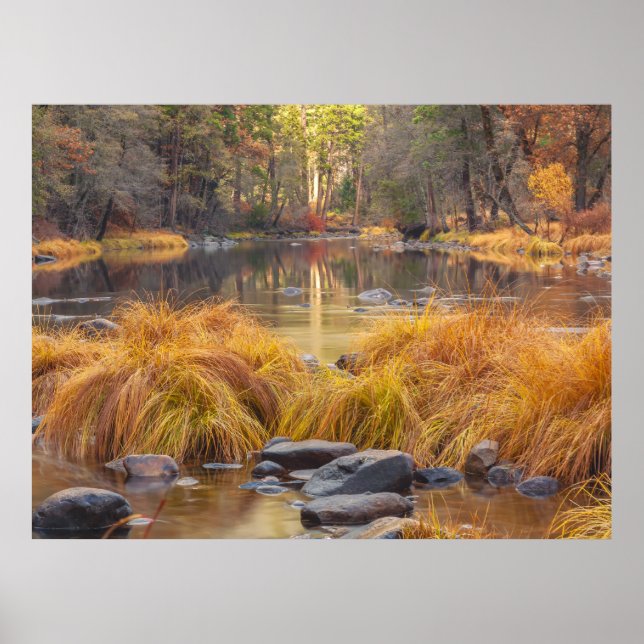 Poster Outono em Yosemite  (Frente)