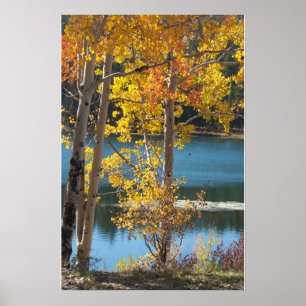 Poster Outono no Lago Urso