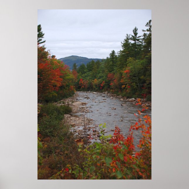 Poster Outono no rio (Frente)