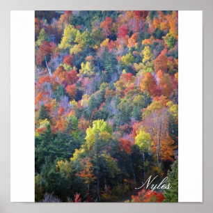 Póster Outono nos Adirondacks