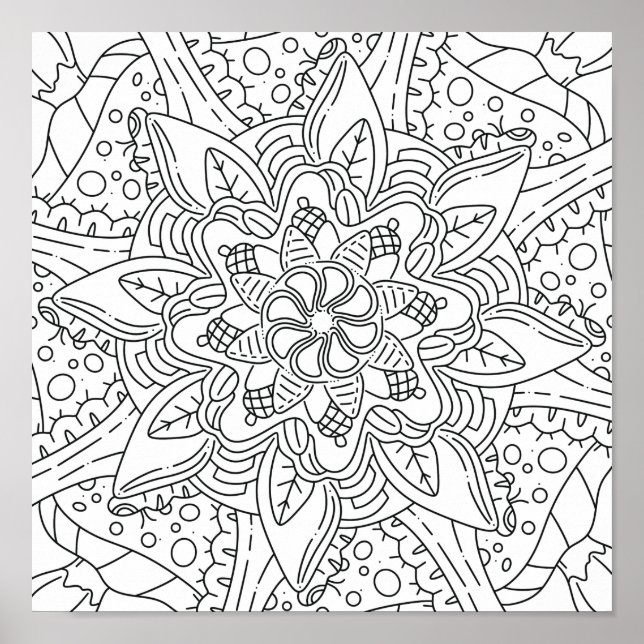 Poster outono pacífico: Coloração da floresta (Frente)