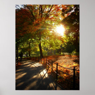 Poster Outono Sun no Central Park, NYC, meio