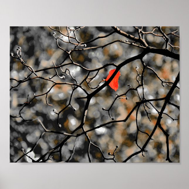 Poster outono tardio (Frente)