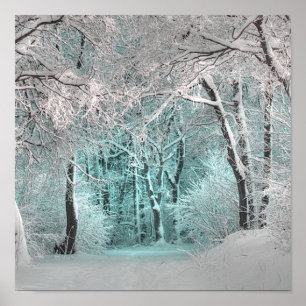 Poster outra terra maravilhosa de inverno 3