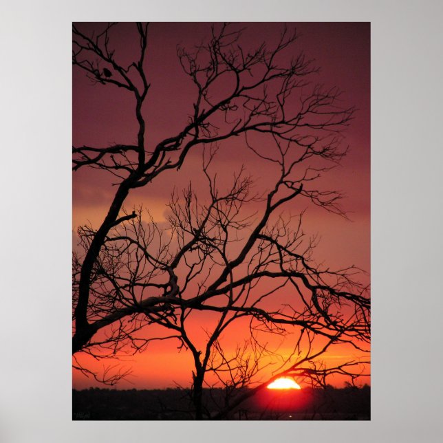 Poster Outro Adeus. Pôster (Frente)