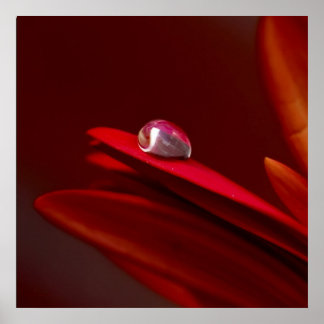 Póster Outro tijolo na parede