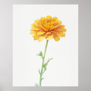 Poster Outubro Marigold Birth Flower