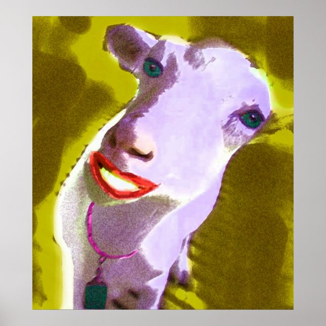 PÓSTER OVELHA (Frente)