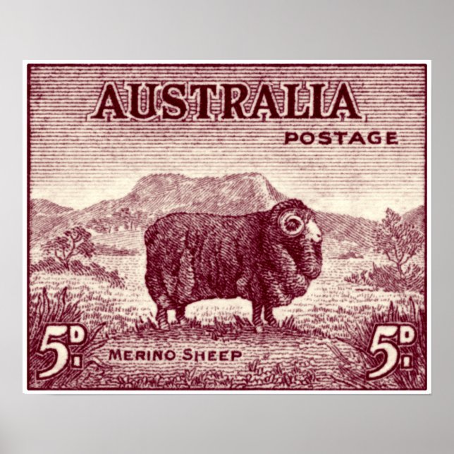 Poster Ovelha Merino Australiana de 1934 (Frente)