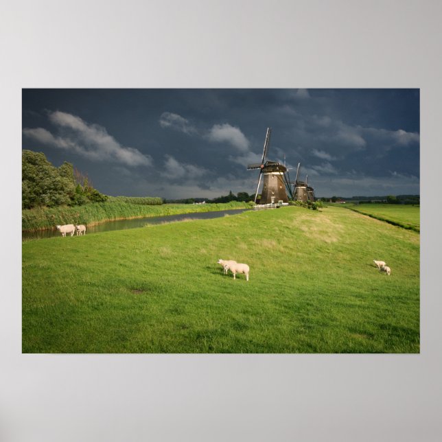 Poster Ovelhas com moinhos de vento sob nuvens escuras (Frente)