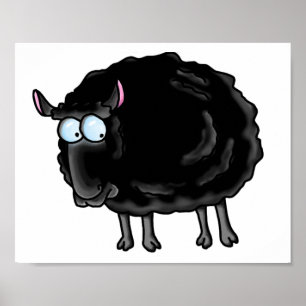 Póster Ovelhas negras
