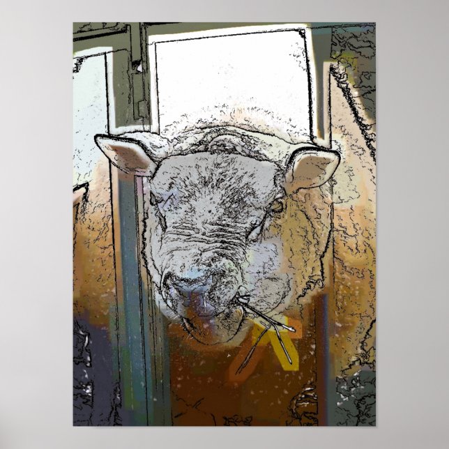 POSTER OVINO (Frente)