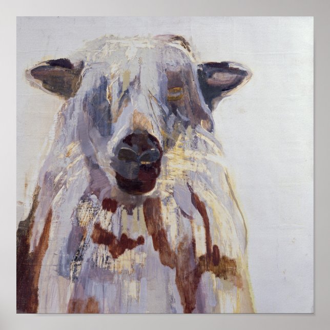 Póster Ovinos (Frente)