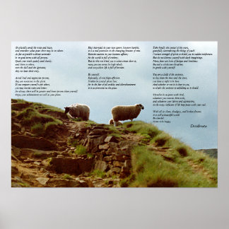 Póster Ovinos calados em silêncio em Mountain Desiderata