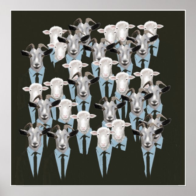 Poster Ovinos e Caprinos (Frente)