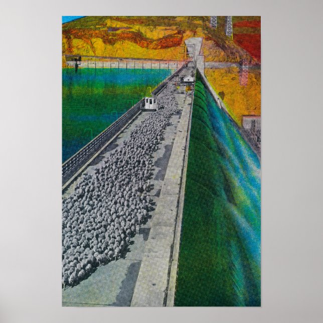 Póster Ovinos na Barragem de Grand Coulee (Frente)