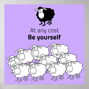 Poster Ovinos, negros e brancos