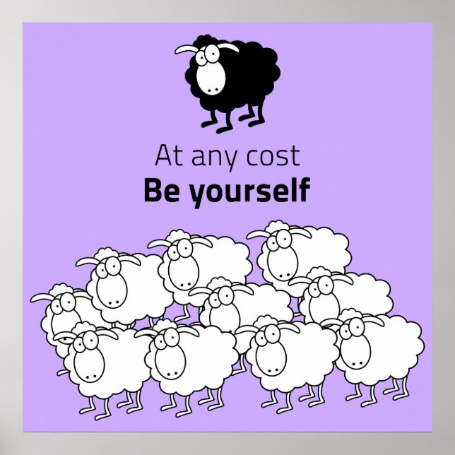 Poster Ovinos, negros e brancos (Frente)