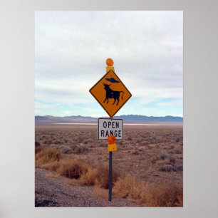 Poster OVNIs e zona 51