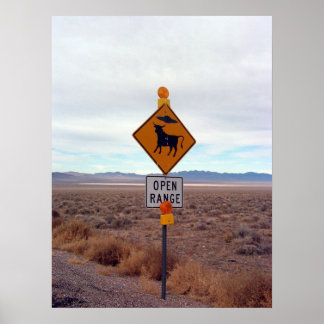 Poster OVNIs e zona 51