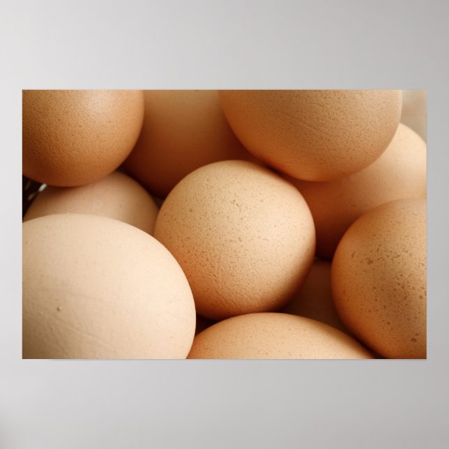 Poster Ovos (Frente)