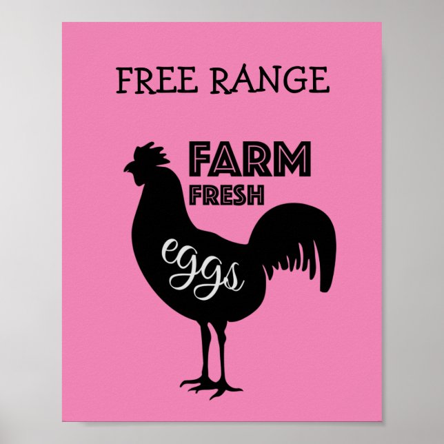 Poster Ovos Frescos De Fazenda De Intervalo Livre (Frente)