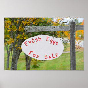 Poster Ovos frescos para a venda no sinal de Vermont