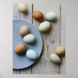 Poster Ovos inteiros