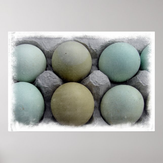 Póster Ovos Verdes (Frente)