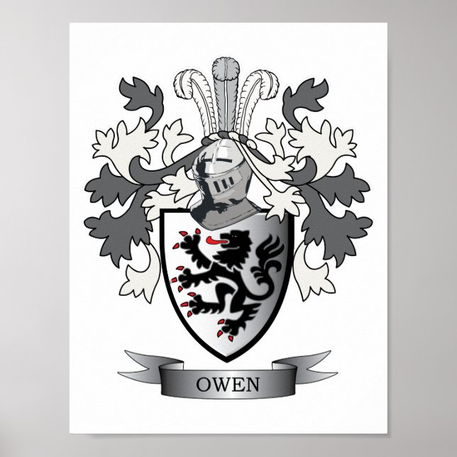 Poster Owen Family Crest Casaco de Armas (Frente)