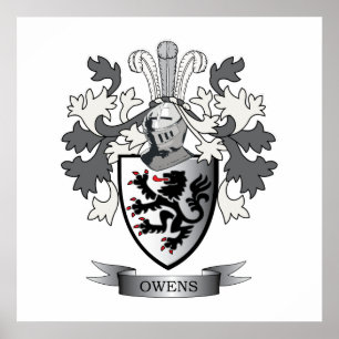 Poster Owens Family Crest Casaco de Armas