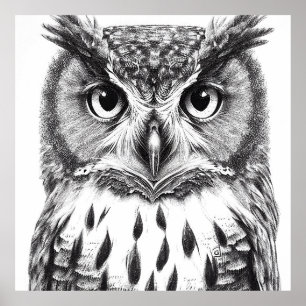 Poster Owl Bird Wild Nature - Ilustração Animal