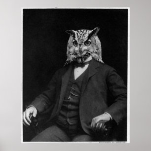Poster Owl Inventor