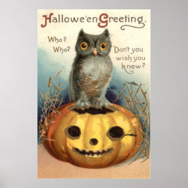 Póster Owl Pumpkin Jack O Lanterna