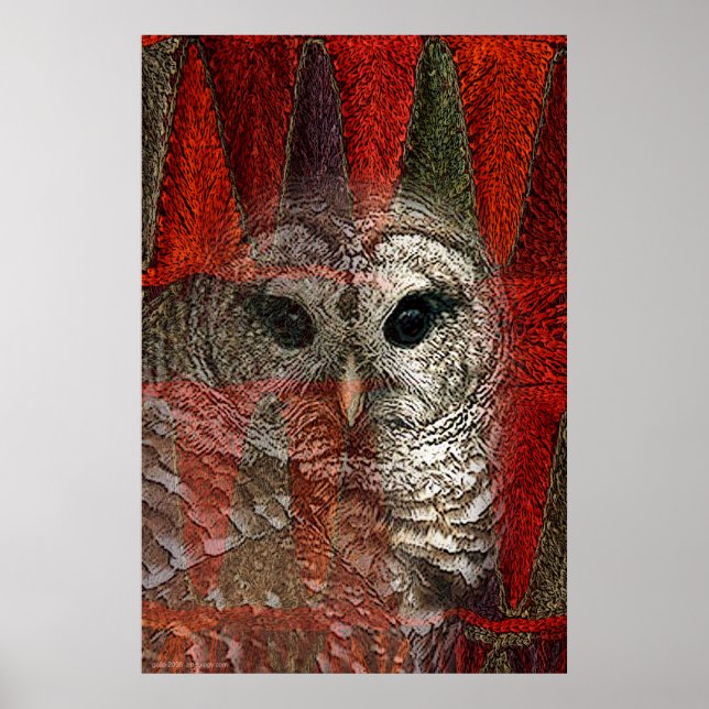 Póster Owl Spirit por Gregory Gallo (Frente)