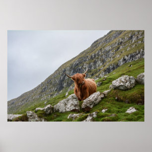 POSTER OX MARAVILHOSO NA MONTANHA