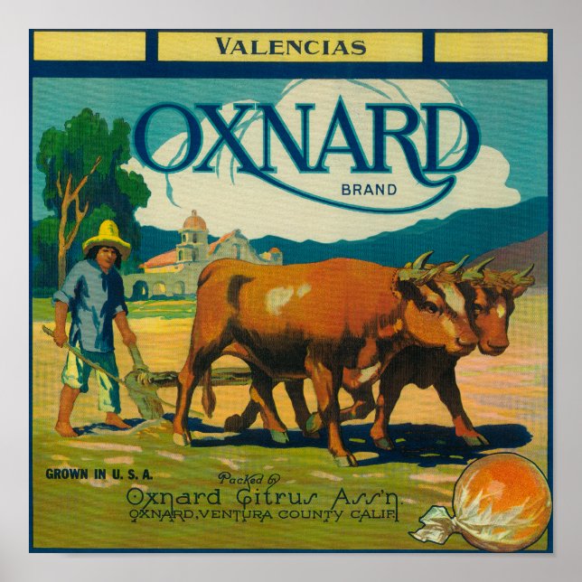 Póster Oxnard Orange LabelOxnard, CA (Frente)