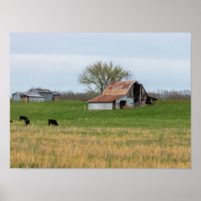 Póster Ozark Antiga Fazenda (Frente)