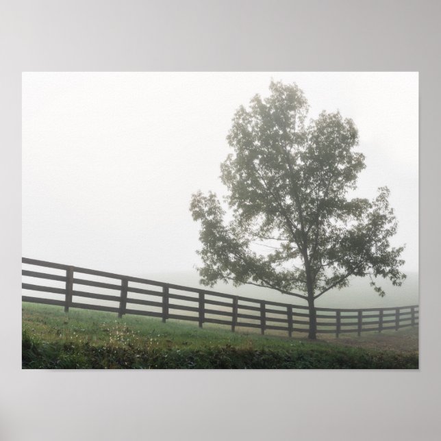 Poster Ozarks Country Fog (Frente)