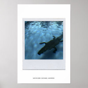 Poster p05b SÉRIE DE PISCINAS DA DAVID