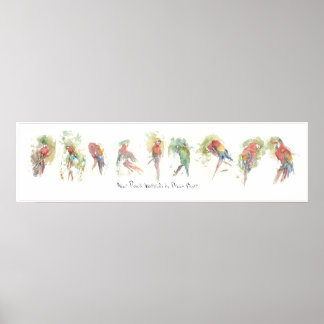 Poster P3, Nove partes, Watercolor de Dennis Boyce